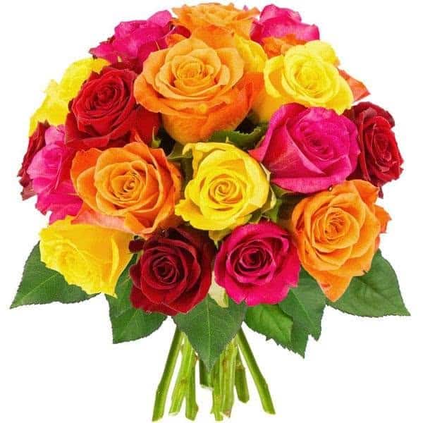 Fleurs Naturelles 100% — Logo